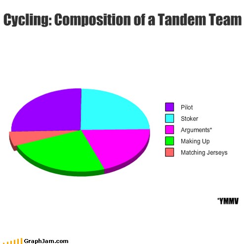 Pie Chart: Composition of a Tandem Team