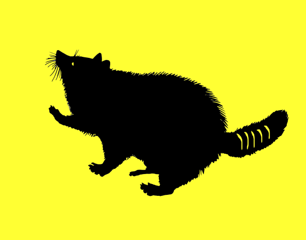 Raccoon of Flanders Flag