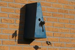 NestBox
