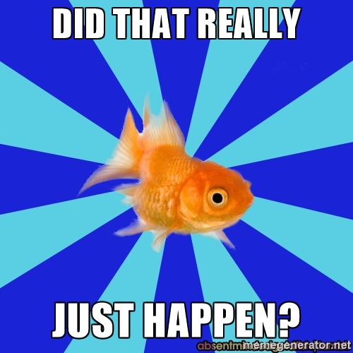 did-that-really-just-happen