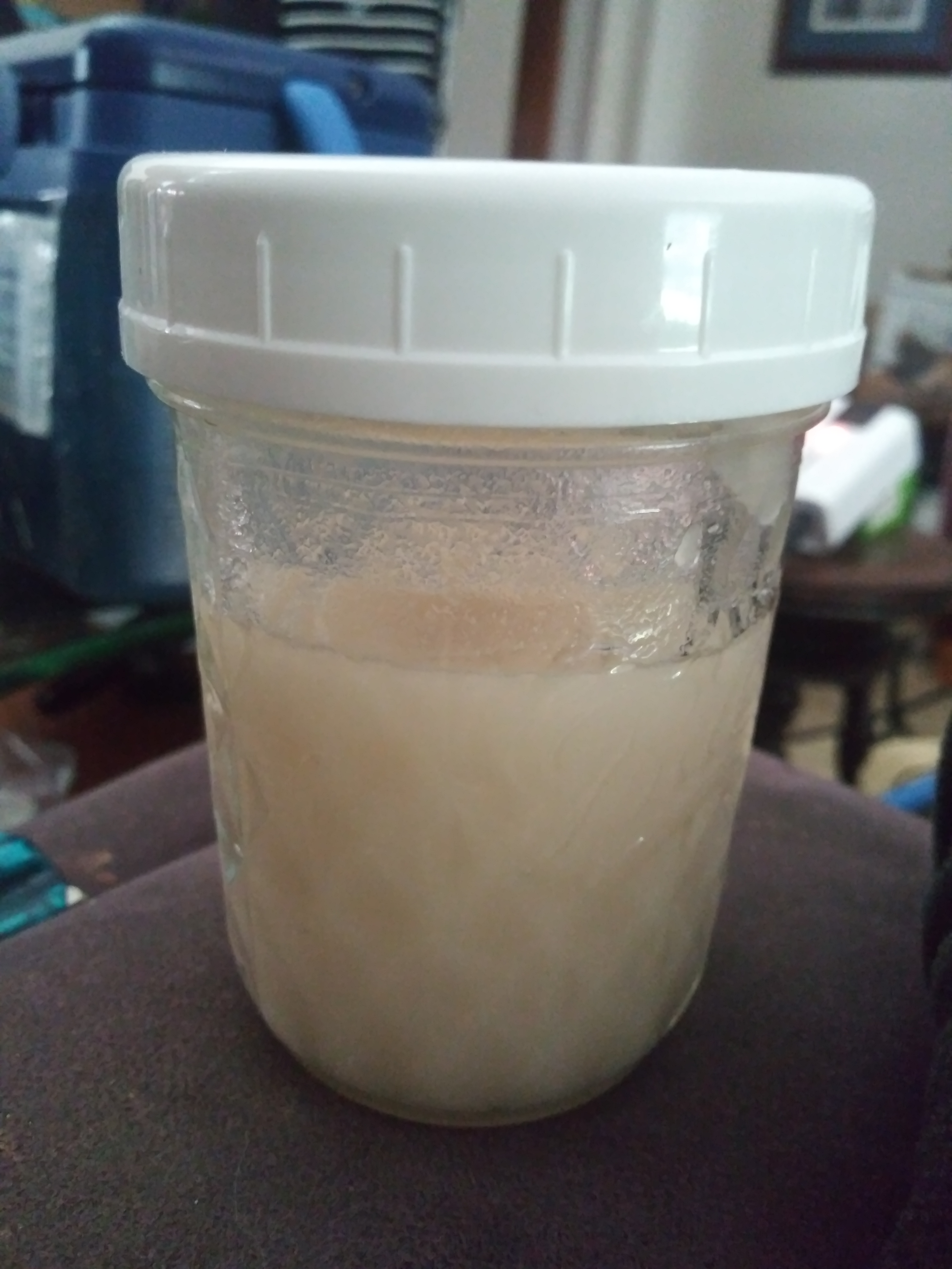 A half-pint Mason jelly jar containing a creamy-colored substance, capped and sitting on the arm of a purple sofa.